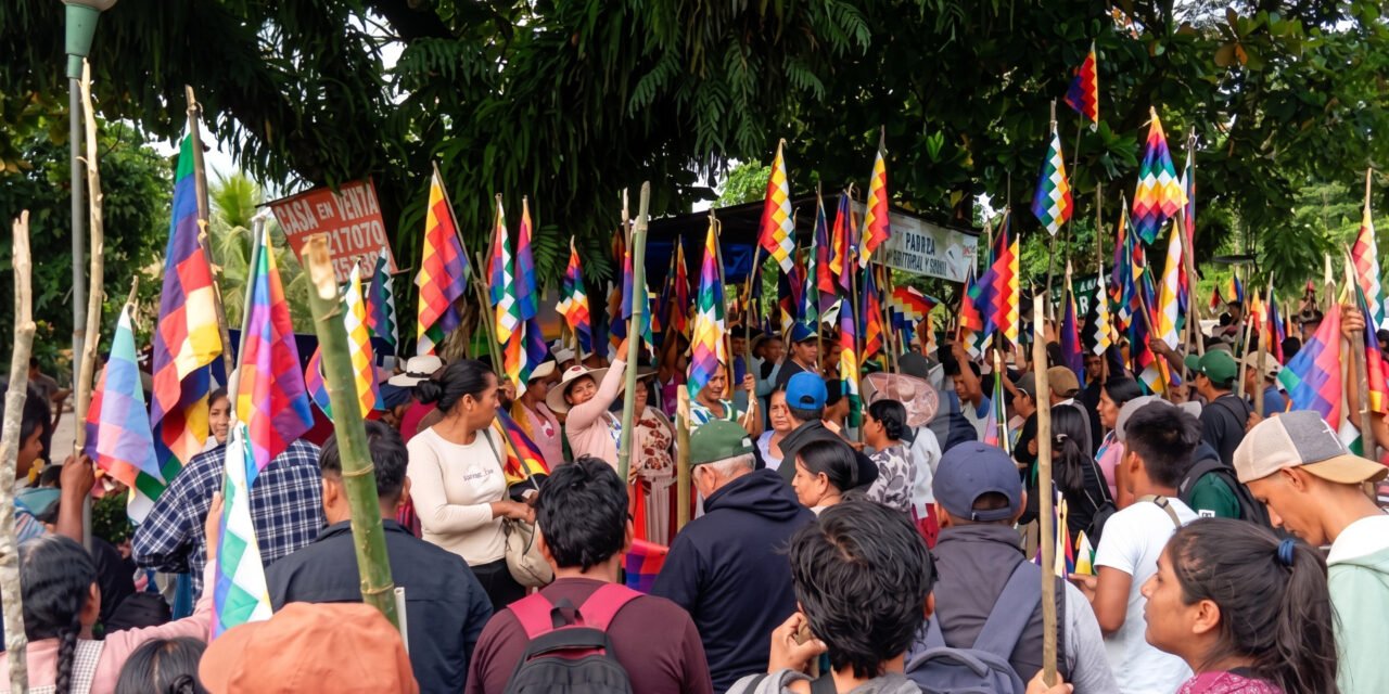 El Chapare en «alerta máxima»: Dirigentes amenazan con incendiar el país para proteger a Evo Morales de la justicia
